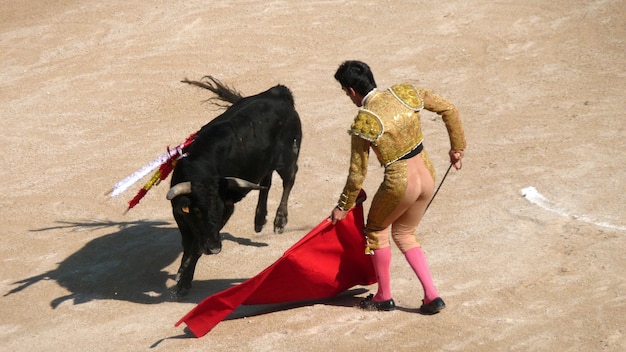 Foto torero con capa roja con un toro