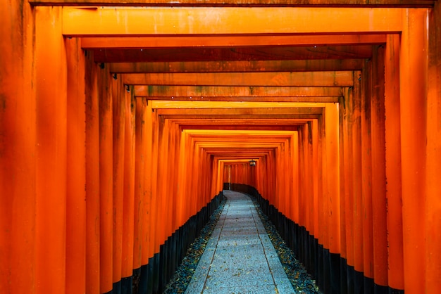 Tori Gate rojo en la capilla de Fushimi Inari en Kyoto, Japón.