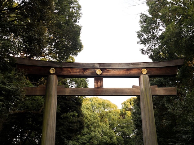 Torii em Meiji Jingu no Japão