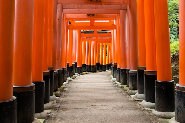 Torii del santuario de Inari