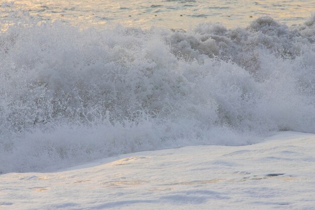 Tormenta en el mar en los rayos del atardecer grandes olas, spray.