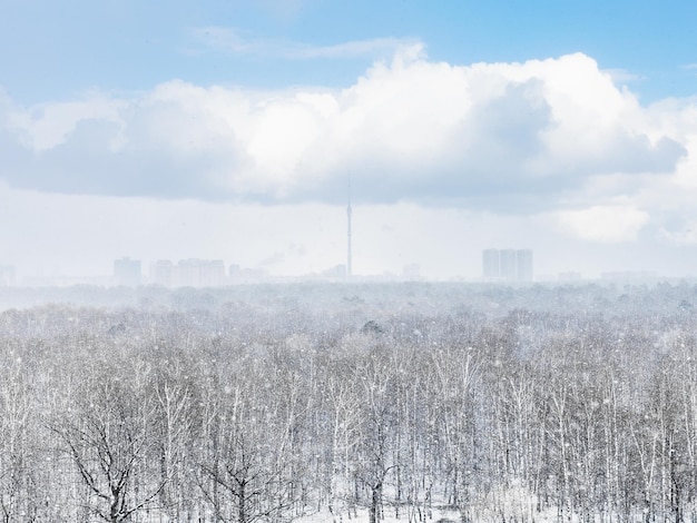 Tormenta de nieve sobre la ciudad y el bosque en primavera