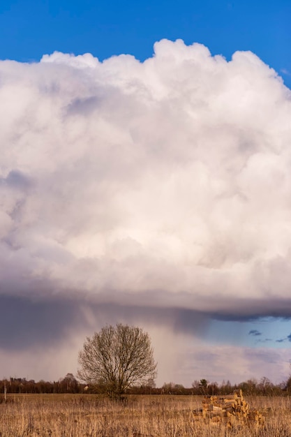 Tormenta nublada con nubes tormentosas y lluvia Una majestuosa nube iluminada por el sol poniente