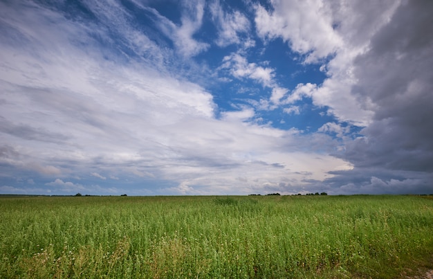 Tormenta sobre los campos