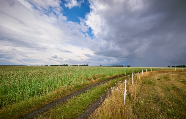 Tormenta sobre los campos