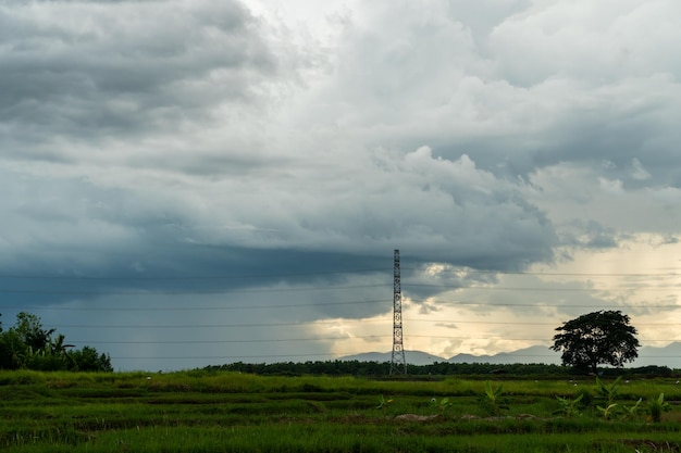 tormenta de tormenta cielo Lluvia de nubes