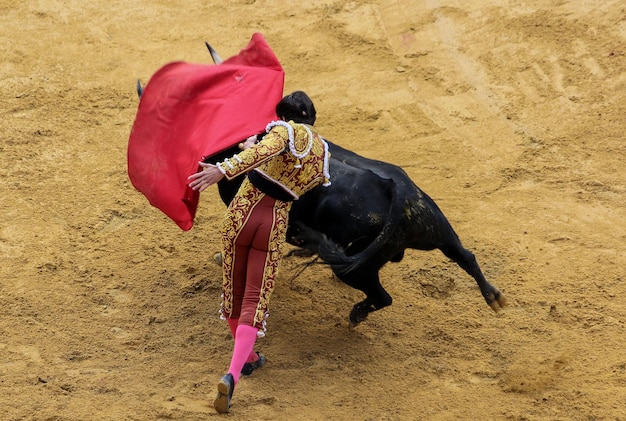 Foto toro y hombre en una corrida de toros