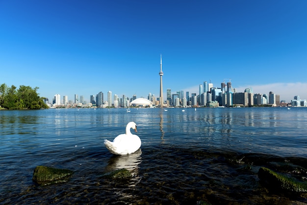 Toronto-Stadtskyline, Ontario, Kanada