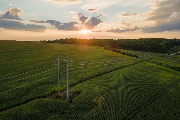 Torre de alta tensión con líneas eléctricas entre campos agrícolas verdes Concepto de transferencia de electricidad