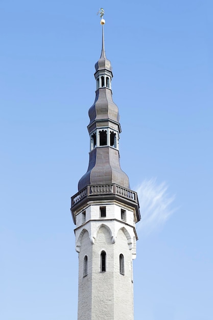 Torre del ayuntamiento de Tallin Estonia