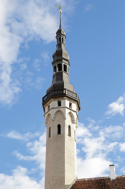 Torre del ayuntamiento de Tallin Estonia