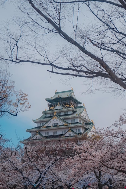 La torre de un castillo con flores de cerezo al fondo