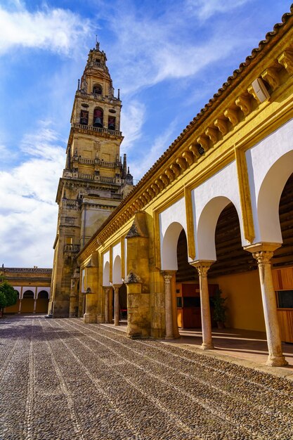 Torre de la catedral en el patio de los naranjos. Córdoba Andalucía.