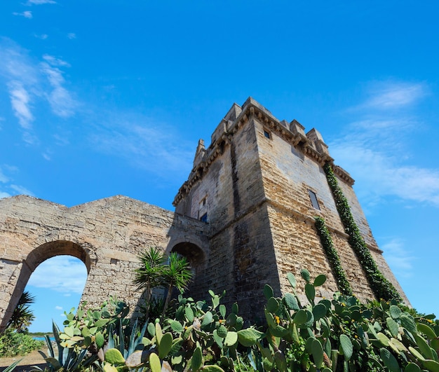 Torre Colimena en la costa del mar de Salento Italia