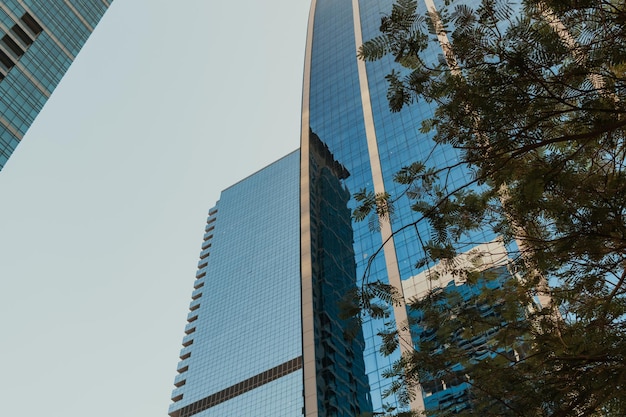 Torre de negócios de arranha-céus modernos diurnos e edifício residencial com céu azul e árvore verde