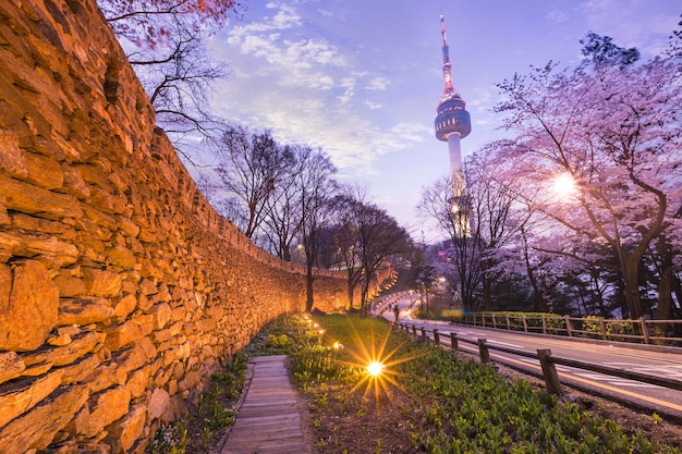 Torre de seul na cidade de seul à vista noturna na primavera com árvore de cerejeira e parede velha com luz