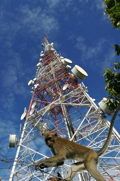 Torre de telecomunicações