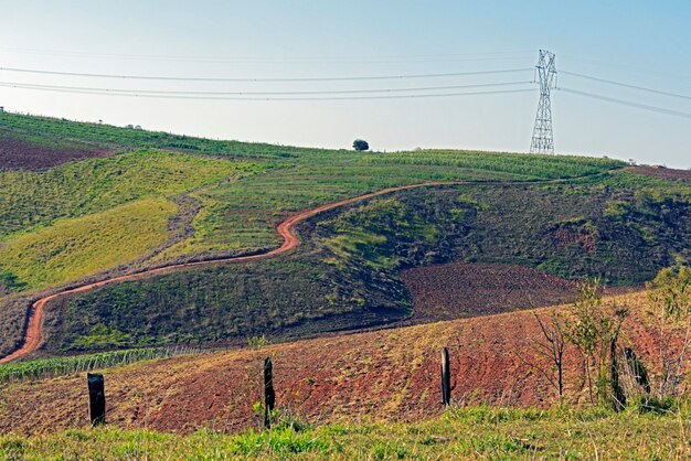 Torre de transmissão de eletricidade que atravessa a plantação