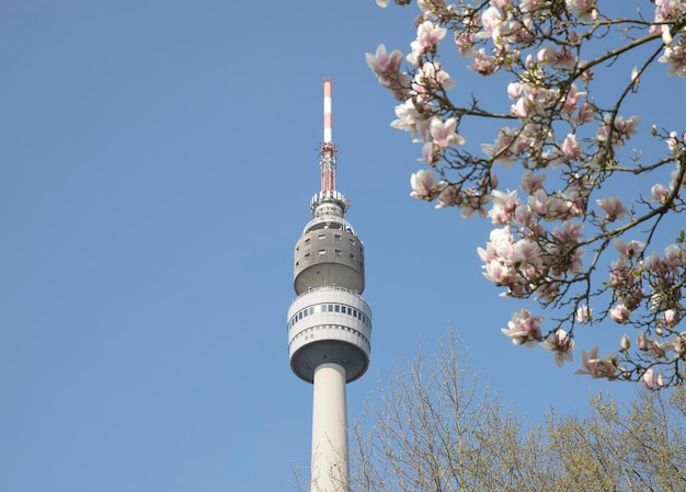 Torre de tv contra céu azul parque primavera