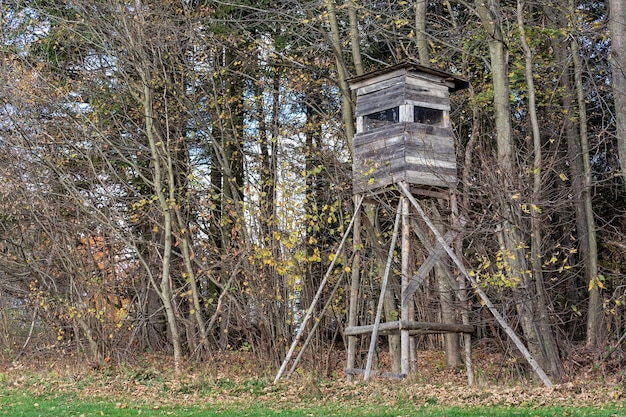 Torre de vigia de madeira para caçar na floresta e no prado