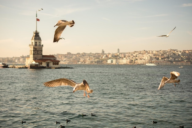 Torre de las Doncellas ubicada en Estambul