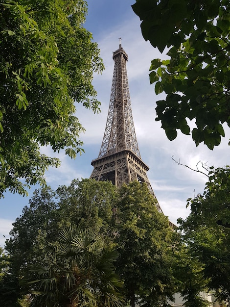 Foto la torre de effiel