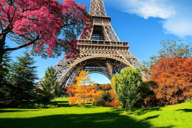 Torre Eiffel e árvores no parque de Paris, França