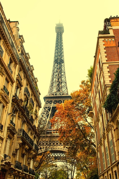 Torre Eiffel entre edificios de la ciudad. Otoño en París. Imagen tonificada