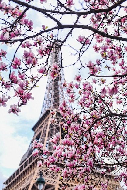 Torre Eiffel em Paris na primavera