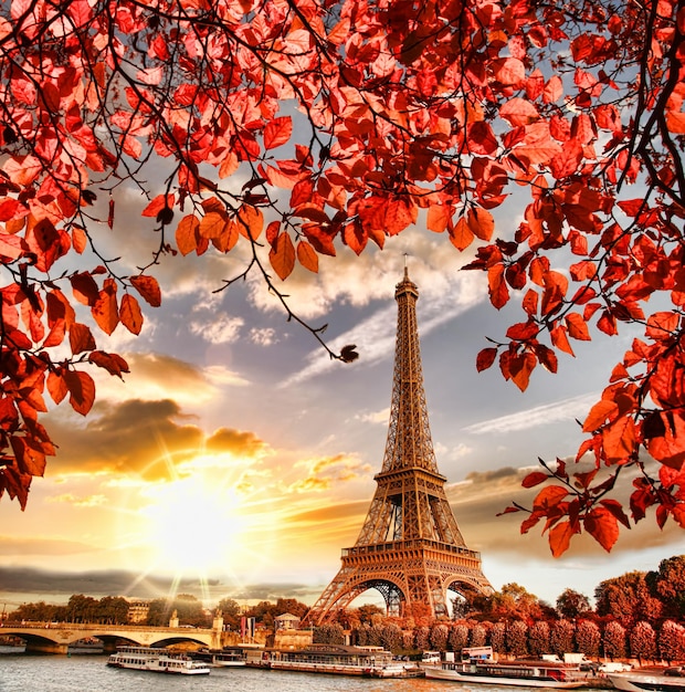 La Torre Eiffel con hojas de otoño en París, Francia