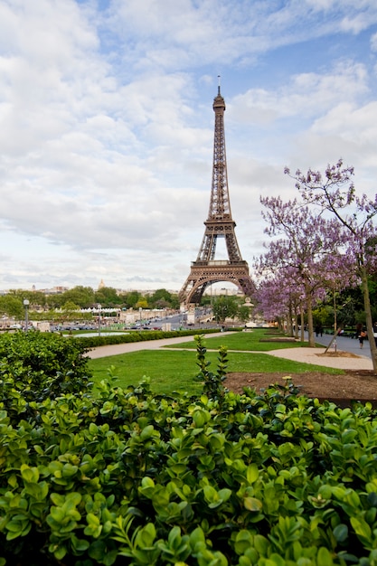 Torre Eiffel icónica