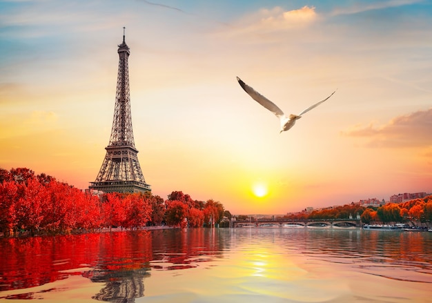 Torre Eiffel en la orilla de la torre Eiffel en la orilla del Sena en París, Francia Francia