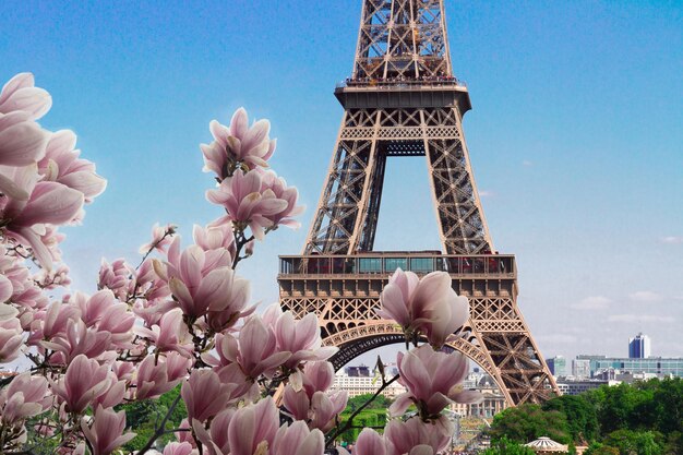 Torre Eiffel y paisaje urbano de París