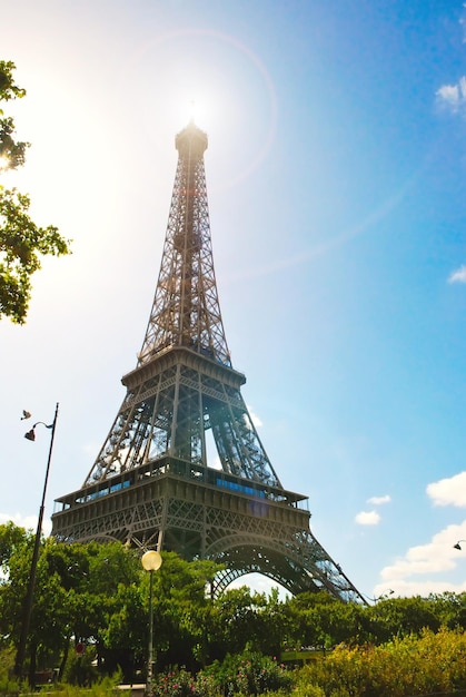 Torre Eiffel en París con árboles y hojas