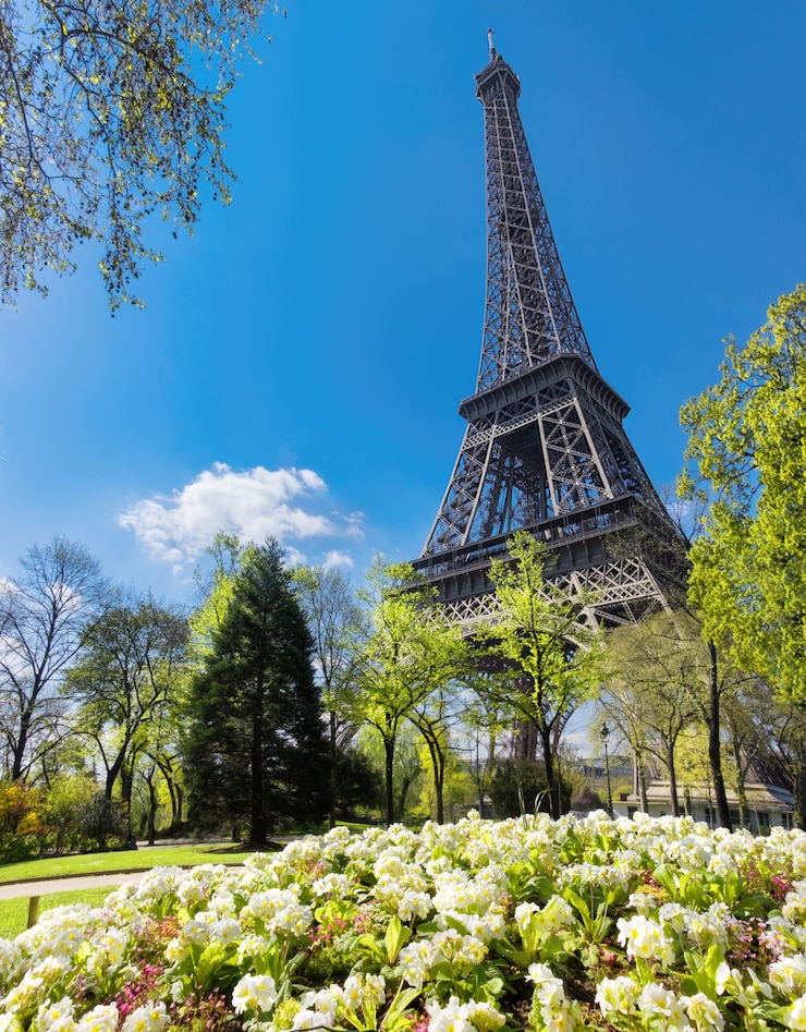 Foto torre eiffel en primavera con flores y hojas frescas alrededor