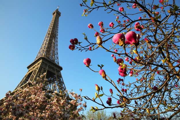 Torre Eiffel en primavera, París, Francia