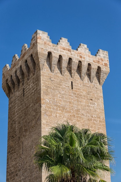 Torre em Valldemosa Mallorca Espanha