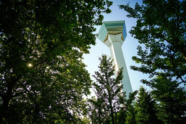 La Torre Goryokaku y el Cielo Azul