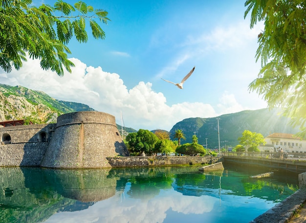 Torre Kampana em Kotor