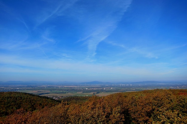 Torre de observación