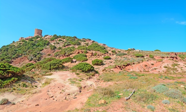 Torre Porticciolo en un día claro