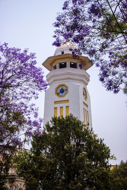 Una torre de reloj con el tiempo de 12: 30.