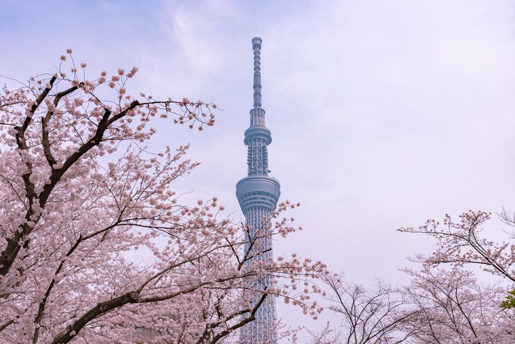 Torre Skytree de Tokio con flores de cerezo en plena floración en el Parque Sumida