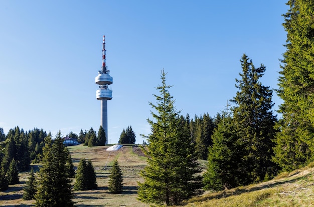 Torre Snezhana en el pico de Snezhana cubierto de bosques de abetos en las montañas Rhodope
