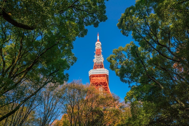 Torre de Tokio con cielo azul en Japón