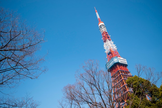 Torre de Tokio con cielo azul