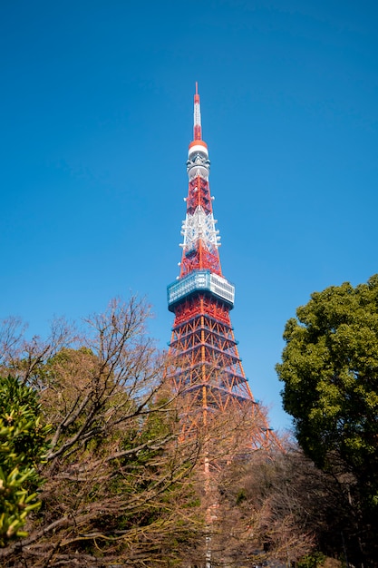 Torre de Tokio con cielo azul