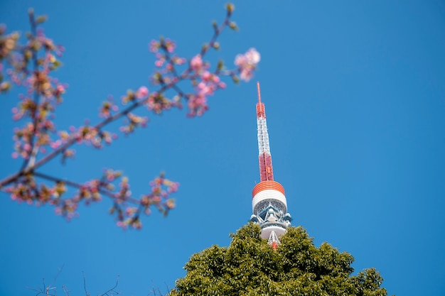 Torre de Tokio con cielo azul