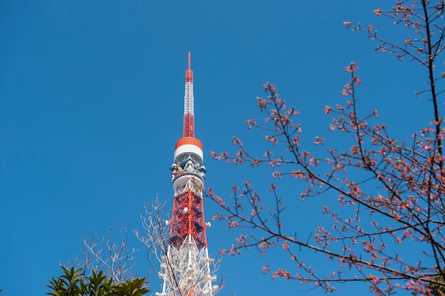 Torre de Tokio con cielo azul