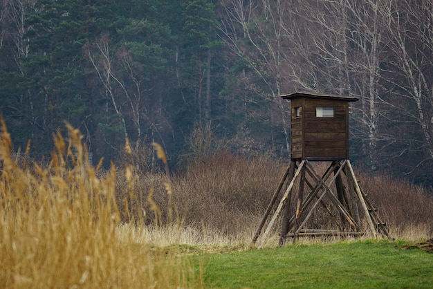 Torre vigía de madera para cazar en el bosque y en la pradera